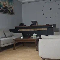 منشی خانم (باانگیزه و فعال)