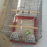 قفس و لانه