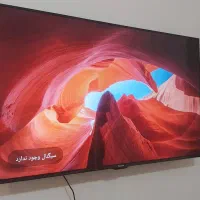 تلویزیون 55اینچ  پاناسونیک