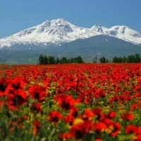 صعود به قله سبلان