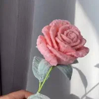 یه گل طبیعی ۳ روز میمونه... این گل تا آخر عمر