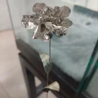 گل نقره ۸.۳۰ گرم