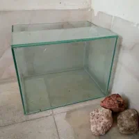 آکواریوم ماهی معاوضه هم داره و قیمت توافقی هس