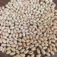 پسته احمد آقایی فروش عمده / بدون واسطه