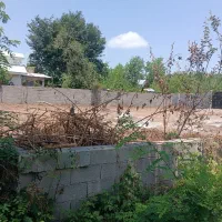 زمین ۲۵۰متر