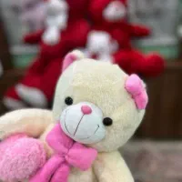 خرس های پولیشی