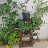 استند گل چوبی