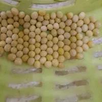 خاویار‌حلزون