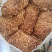 برگ زرد