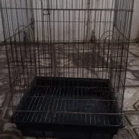 قفس