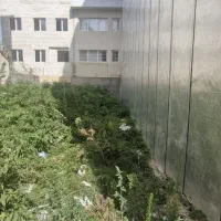 فروش فوری زمین سنددار ۱۷۸ متری قلی پور
