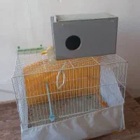قفس عروس نو