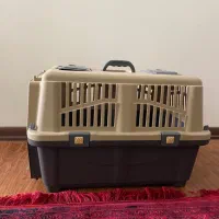 باکس فرودگاهی سگ و گربه رها
