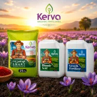 کود تخصصی زعفران Kerva، تقویت پیاز و افزایش گلدهی