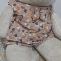 عروسک شاسخین