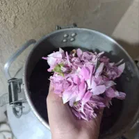 گلاب درجه یک