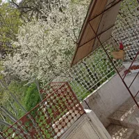 طالقانگردی