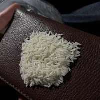 برنج سردانه هاشمی سورت شده