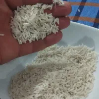 برنج‌هاشمی