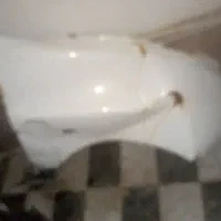 گلگیر کاپوت پراید فابریک