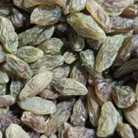 کشمش سبز