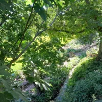 سوییت-دربست-با-امکانات-کامل