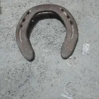 نهل اسب.دوعدد