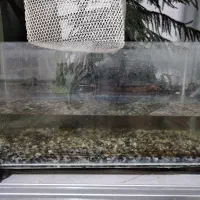 آکواریوم حراج