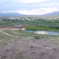 قطعه زمین یونجه  واقع در روستای کندوان  میانه