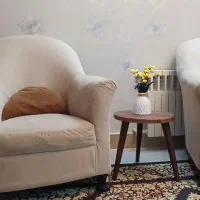 دو عدد مبل تک نفره