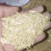 گندم|لوازم جانبی حیوانات|ایذه, |دیوار