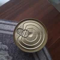 تن ماهی
