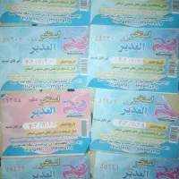 8 عدد بلیط استخر الغدیر