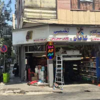 تعمیرکار حرفه ای(تکنسین)