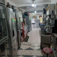 سمساری (کاج) درشهرقدس