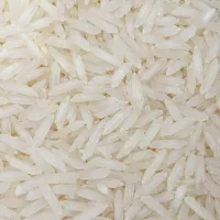 برنج طارم هاشمی فریدونکنار کشت اول امسال