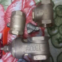 شیر برنجی۲