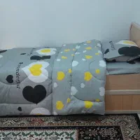 تخت یک نفره  همراه میزبان
