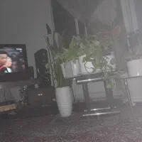 همخونه