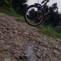 دوچرخه سایز ۲۶ برند گالانت