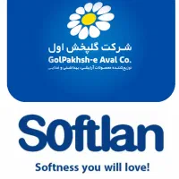 جذب ویزیتور آقا برای شهر لنگرود