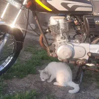 موتور مزایده ای ۱۵۰ سی سی با برگ مزایده