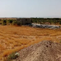 فروش زمین تنکمان