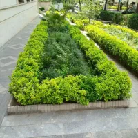 خدمات باغبانی کاشت گل باغچه تعویض خاک گلدون باغبان