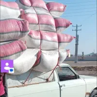 کاه گندم