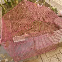 قفس بزرگ پرنده