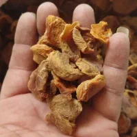 ترشاله|خوردنی و آشامیدنی|بم, |دیوار