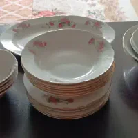 ظروف گل سرخی