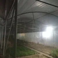 سازه گلخانه
