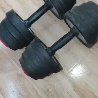 دمبل